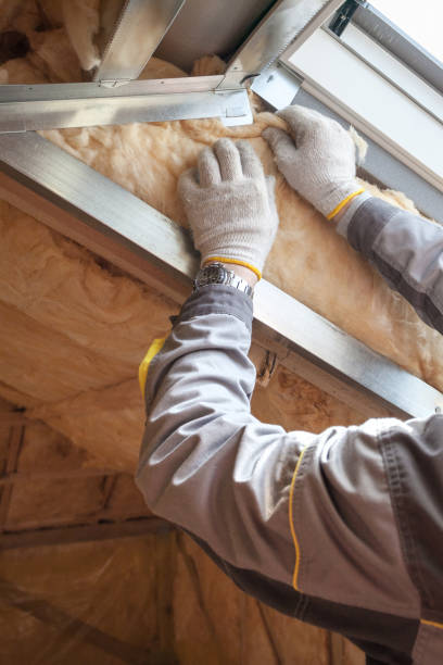 Best Specialized Insulation Services in Minnehaha, WA